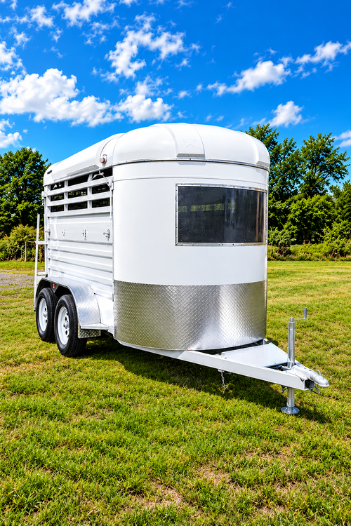 Horse Trailer 19hh (Double)