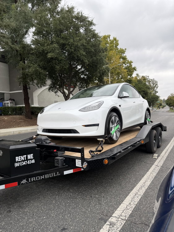 A Shelby F-150 secured with wheel straps for a smooth, damage-free move. Our trailers suit high-value and performance vehicles.